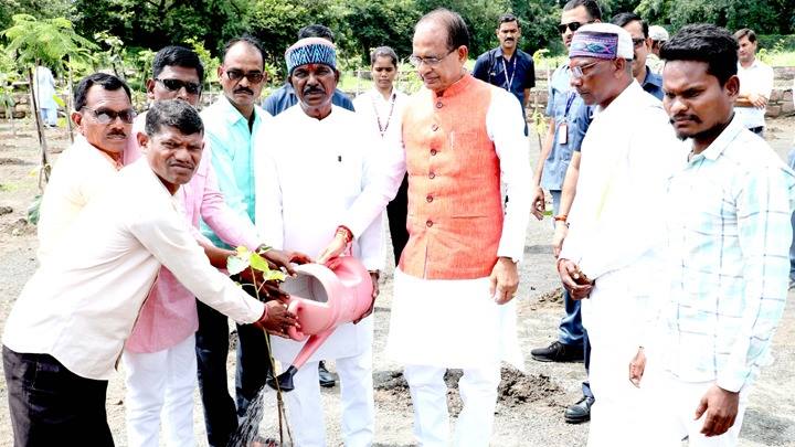 CM Shri Chouhan plants saplings along with social workers